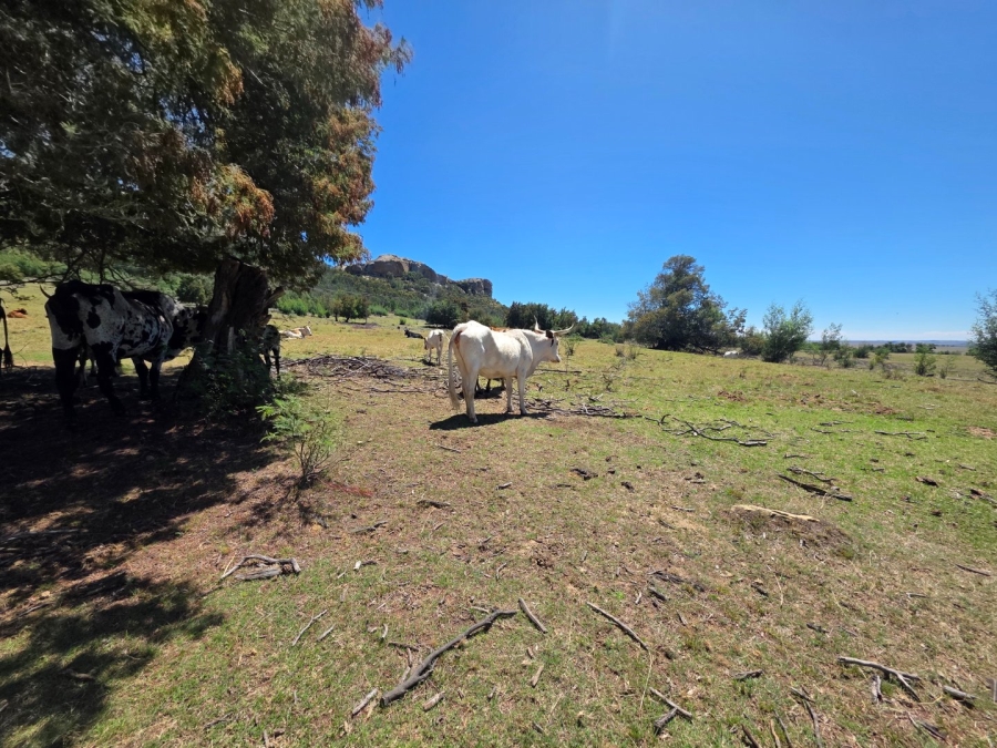 Commercial Property for Sale in Bethlehem Free State